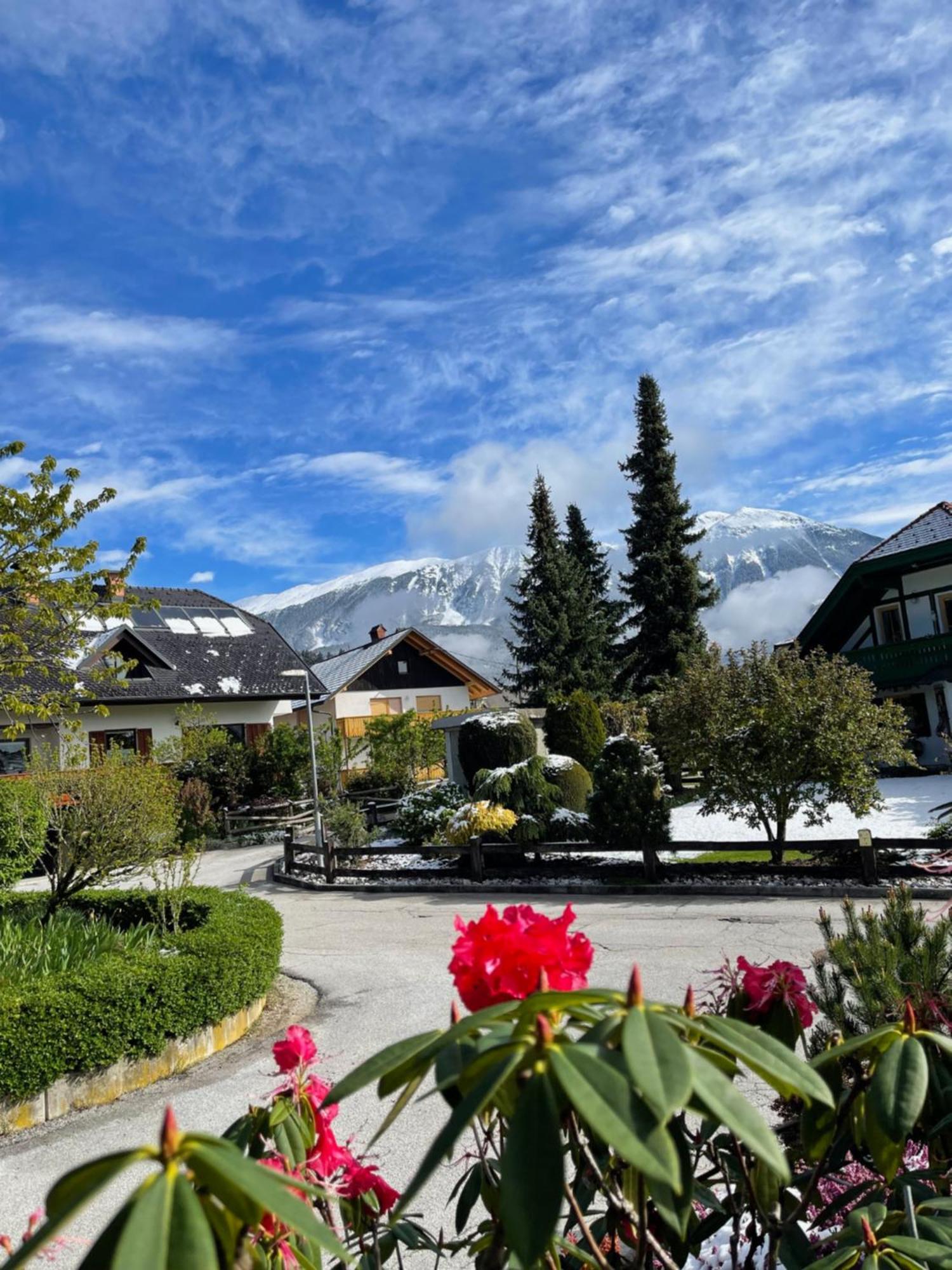 Pleasant Apartments Bled Bagian luar foto