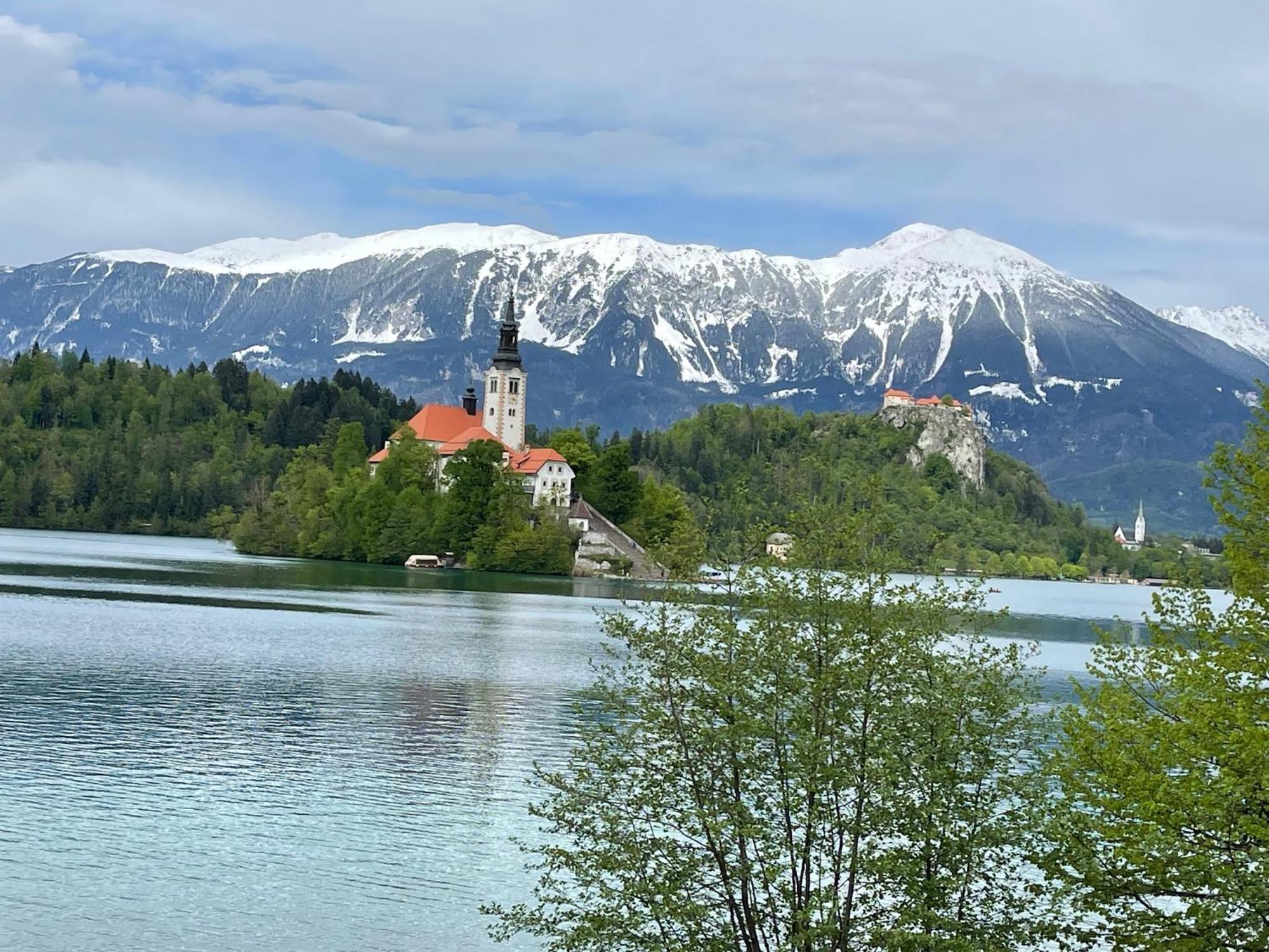 Pleasant Apartments Bled Bagian luar foto